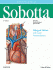 Sobotta Dissection Atlas. Edition: 3