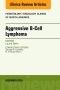 Aggressive B- Cell Lymphoma, An Issue of Hematology/Oncology Clinics of North America