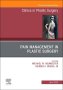 Pain Management in Plastic Surgery An Issue of Clinics in Plastic Surgery