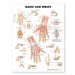 Hand and Wrist Anatomical Chart