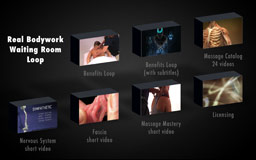Benefits of Massage - Waiting Room Loop DVD by Real Bodywork