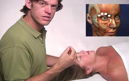 Massage for Fibromyalgia DVD by Real Bodyworks