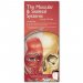 Anatomical Chart Company's Illustrated Pocket Anatomy: The Muscular & Skeletal Systems Study Guide, 2nd Edition
