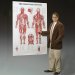 The Muscular System Giant Chart