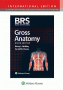 BRS Gross Anatomy, 9th Edition