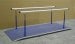 Remedial Parallel Bars
